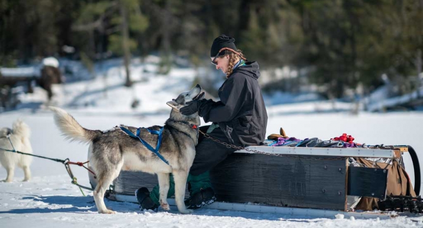 A person sits on a sled and pets a sled dog